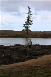 by kiwiaoraki, Views[134]