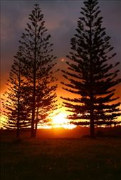 by kiwiaoraki, Views[134]