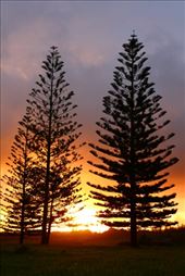 by kiwiaoraki, Views[123]