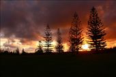 by kiwiaoraki, Views[145]