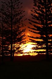 by kiwiaoraki, Views[170]