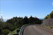 by kiwiaoraki, Views[92]