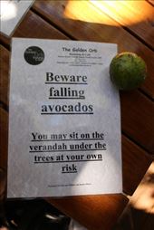 by kiwiaoraki, Views[145]