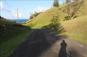 by kiwiaoraki, Views[144]