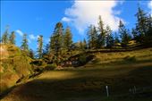 by kiwiaoraki, Views[188]