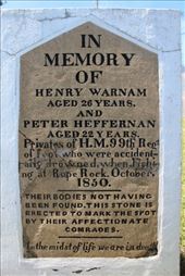 by kiwiaoraki, Views[220]