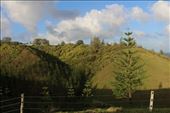 by kiwiaoraki, Views[96]