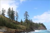 by kiwiaoraki, Views[116]