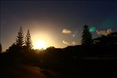 by kiwiaoraki, Views[100]