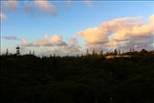 by kiwiaoraki, Views[108]