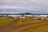 by kiwiaoraki, Views[96]
