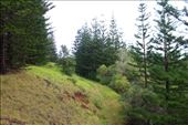by kiwiaoraki, Views[72]