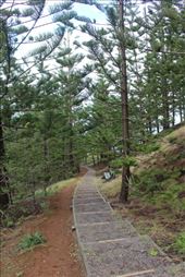 by kiwiaoraki, Views[72]