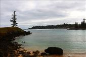 by kiwiaoraki, Views[91]