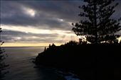 by kiwiaoraki, Views[92]