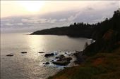 by kiwiaoraki, Views[102]