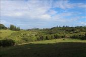 by kiwiaoraki, Views[75]