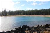 by kiwiaoraki, Views[79]