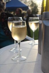 by kiwiaoraki, Views[71]