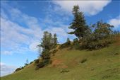by kiwiaoraki, Views[113]