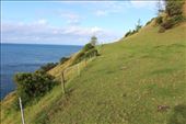 by kiwiaoraki, Views[66]