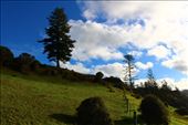 by kiwiaoraki, Views[59]