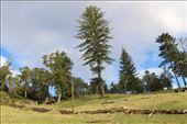 by kiwiaoraki, Views[111]
