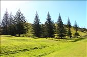 by kiwiaoraki, Views[58]