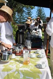 by kiwiaoraki, Views[65]