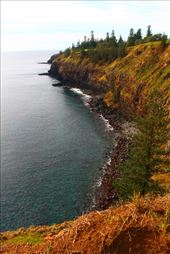 by kiwiaoraki, Views[61]