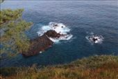 by kiwiaoraki, Views[99]