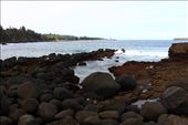 by kiwiaoraki, Views[70]