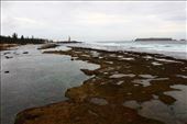 by kiwiaoraki, Views[73]
