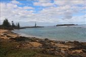 by kiwiaoraki, Views[89]
