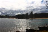 by kiwiaoraki, Views[95]