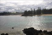 by kiwiaoraki, Views[106]