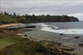 by kiwiaoraki, Views[56]