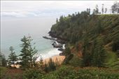 by kiwiaoraki, Views[69]