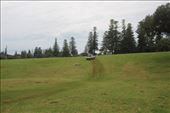 by kiwiaoraki, Views[81]