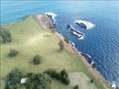 by kiwiaoraki, Views[150]