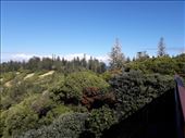 by kiwiaoraki, Views[141]