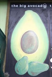 by kiwiaoraki, Views[1524]