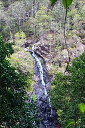 by kiwiaoraki, Views[446]