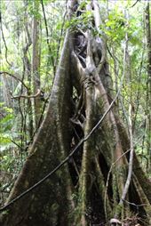 by kiwiaoraki, Views[689]