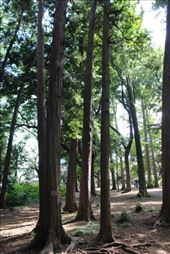 by kiwiaoraki, Views[139]