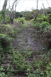 by kiwiaoraki, Views[178]