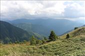 by kiwiaoraki, Views[199]