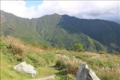 by kiwiaoraki, Views[187]