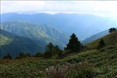 by kiwiaoraki, Views[716]