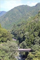 by kiwiaoraki, Views[438]